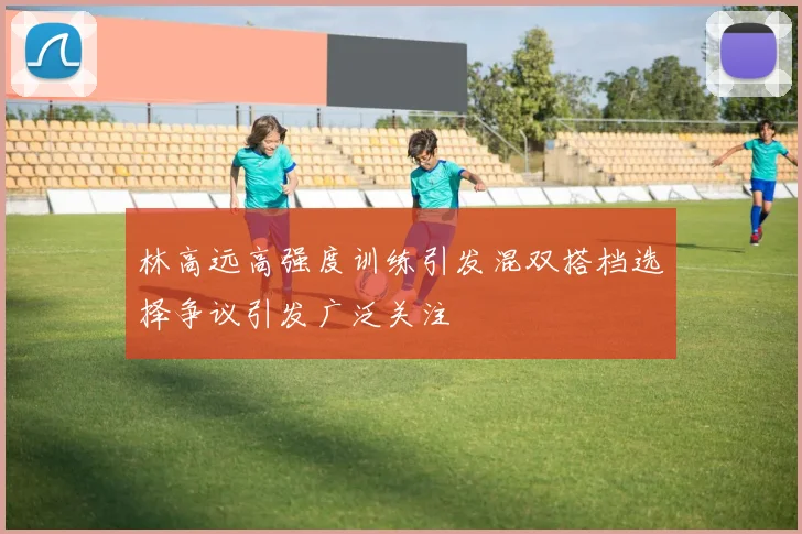 林高远高强度训练引发混双搭档选择争议引发广泛关注