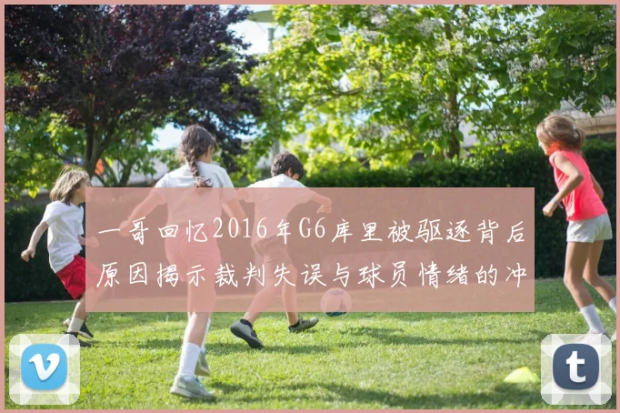 一哥回忆2016年G6库里被驱逐背后原因揭示裁判失误与球员情绪的冲突