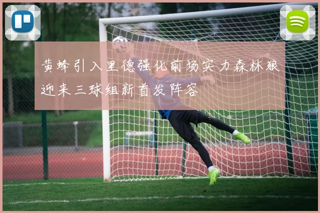 黄蜂引入里德强化前场实力森林狼迎来三球组新首发阵容